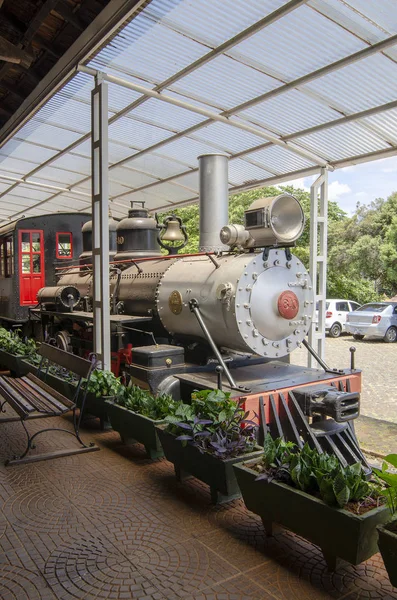 Preserved Steam in Brazil