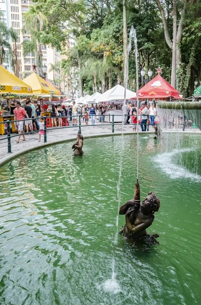 브라질 2018 오소리 오에서 공정에서 동상에서 물입니다 배경에 — 스톡 사진