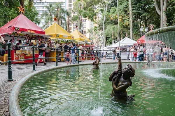 브라질 2018 오소리 오에서 공정에서 동상에서 물입니다 배경에 — 스톡 사진