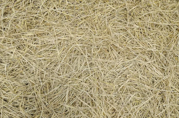 草を乾燥させます 床に乾いた草のテクスチャ Capim — ストック写真