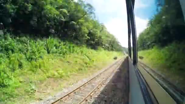 火车骑行时光流逝 记录在火车窗外 塞拉杜玛帕拉纳森 库里蒂巴和莫雷特斯之间 穿过隧道 绿色植被 桥梁在自然上 — 图库视频影像