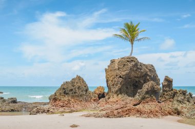 Tambaba beach, Conde PB Brazil