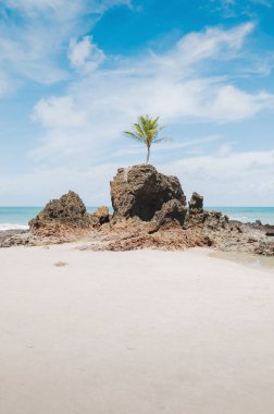 Tambaba beach, Conde PB Brazil