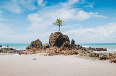 Tambaba beach, Conde PB Brazil