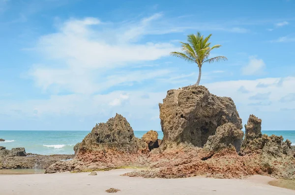 Tambaba beach, Conde PB Brazil