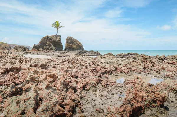 Tambaba beach, Conde PB Brazil