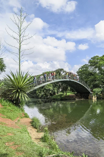 Puente arqueado del Parque Ibirapuera — Foto de Stock