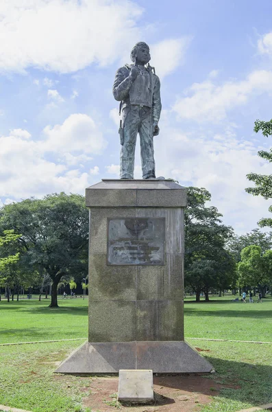 Denkmal der brasilianischen Luftwaffe, Ibirapuera Park — Stockfoto