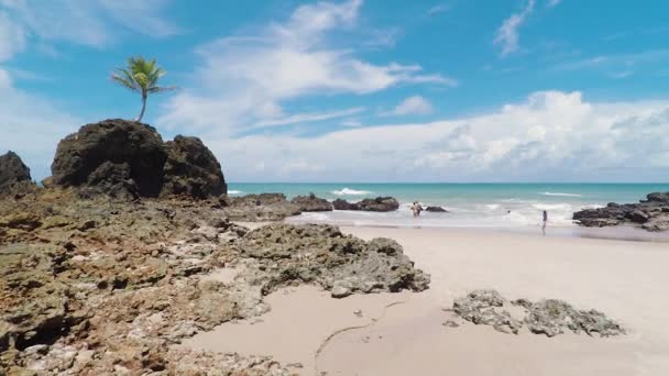 Praia Tambaba Plajının Görünümü Costa Conde Bir Kayanın Üstünde Büyüdü — Stok video