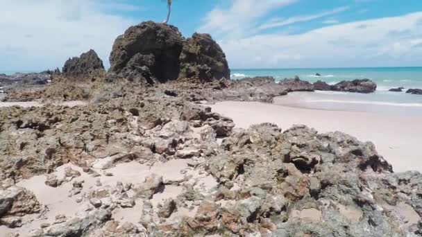 Praia Tambaba Plajının Görünümü Costa Conde Bir Kayanın Üstünde Büyüdü — Stok video