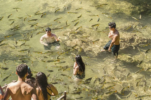 Group of tourists swimming with the fishes at Bonito MS Brazil — Stock Photo, Image