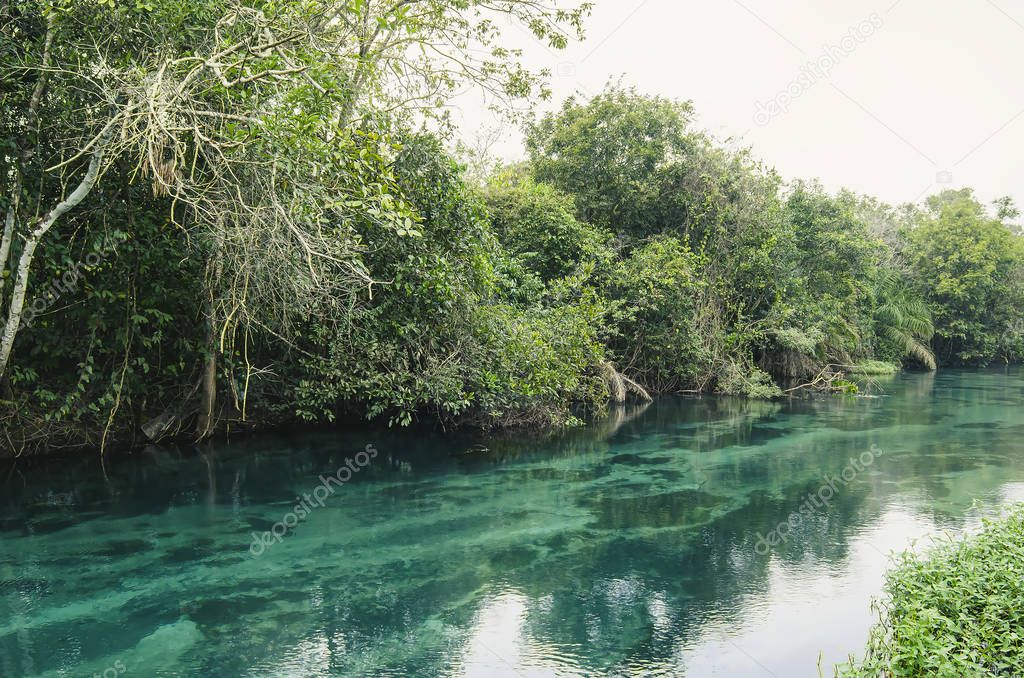 River of Bonito MS, Brazil