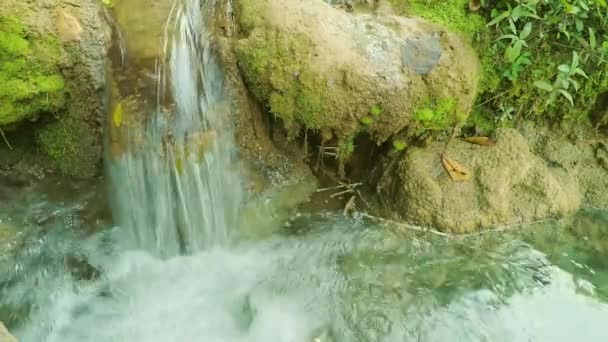 水流在岩石上流着 被青苔和植物包围着 落在一个小池塘上 巴西旅游城市博尼托女士的自然美景 — 图库视频影像