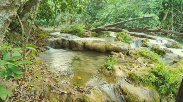 Kaskádu Řeky Proudící Kolem Skal Obklopených Přírodou Zeleného Lesa Přírodní — Stock video