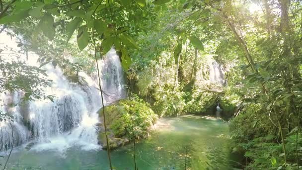 一小串河流在绿森林的大自然包围的岩石上流淌 巴西旅游城市博尼托女士的自然美景 — 图库视频影像