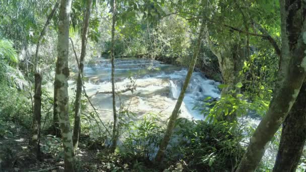 緑の森の自然に囲まれた岩の周りを流れる川の小さなカスケード 観光都市の自然美人 ボニートさん ブラジル — ストック動画