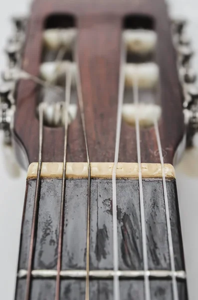 Nut and strings of a acoustic guitar headstock — Stock Photo, Image