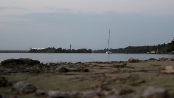 Mot Bakgrund Lång Dam Flyttar Båten Längs Flodstranden Kvällen Solnedgången — Stockvideo