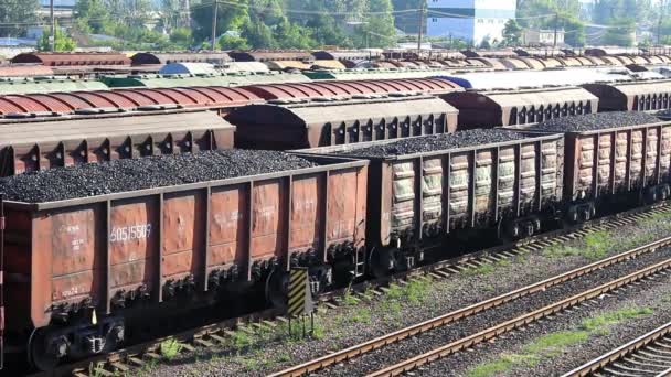 Muitos Vagões Aguardam Partida Primeiro Plano Estão Vagões Com Carvão — Vídeo de Stock