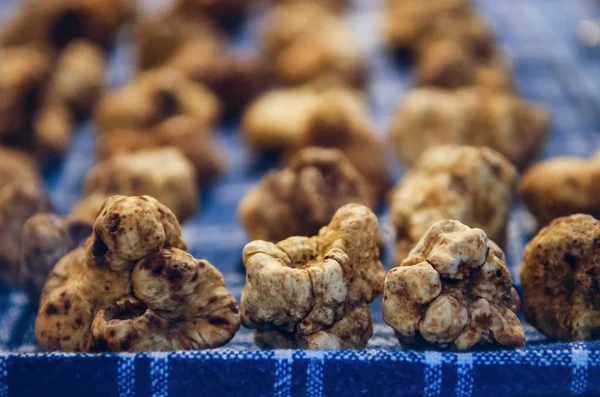 White Truffles (Tuber Magnatum Pico) on a trader stall of the Fiera del Tartufo (Truffle Fair) of Alba, Piedmont (Italy), most important international truffle market in the world