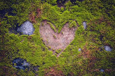 heart shape sign engraved in the moss clipart