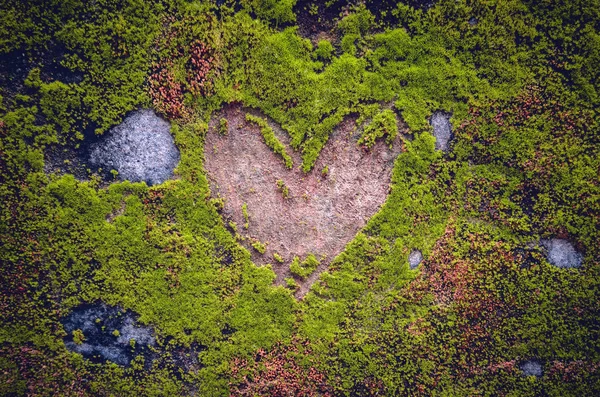 Hart vorm teken gegraveerd in het mos — Stockfoto