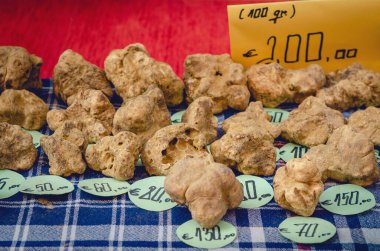White Truffles (Tuber Magnatum Pico) on a trader stall of the Fiera del Tartufo (Truffle Fair) of Alba, Piedmont (Italy), most important international truffle market in the world clipart