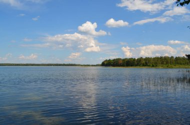 ormanda güzel yaz göl
