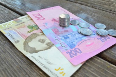 Ukrayna parası. Ukrayna Grivnası Banknot. İki yüz Grivnası banknotlar, kazık sikke, yakın çekim arka plan