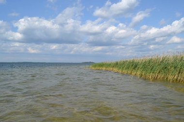 Güneşli bir günde Svitiaz Gölü 'nde şeffaf su (Shatsk Gölü, Shatsky Ulusal Doğal Parkı)