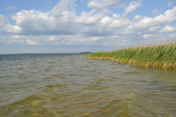 Água Transparente Lago Svitiaz Dia Ensolarado Lagos Shatsk Parque Natural — Fotografia de Stock