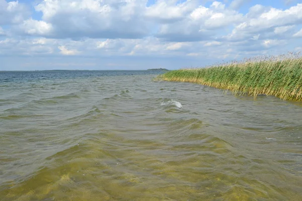 Transparent Water Lake Svitiaz Sunny Day Lakes Shatsk Shatsky National — Stock Photo, Image