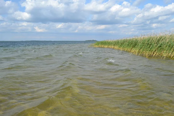 Güneşli bir günde Svitiaz Gölü 'nde şeffaf su (Shatsk Gölü, Shatsky Ulusal Doğal Parkı)