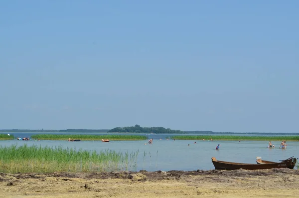 Velhos Barcos Remo Madeira Ensolarada Manhã Verão Praia Lago Verão — Fotografia de Stock