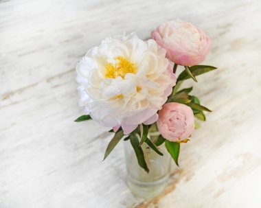 Vazoda pembe şakayık demeti, tonlu görüntü. Açık arkaplanda taze pembe şakayıklar. Taze, parlak şakayık çiçekleri. Kart Konsepti, kopyalama alanı