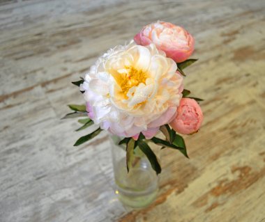 Vazoda pembe şakayık demeti, tonlu görüntü. Açık arkaplanda taze pembe şakayıklar. Taze, parlak şakayık çiçekleri. Kart Konsepti, kopyalama alanı