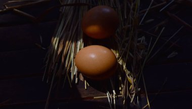 taze tavuk yumurta saman ahşap tablo