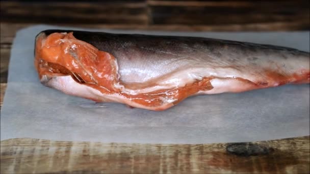 Roter Fisch Roh Und Frisches Gemüse — Stockvideo