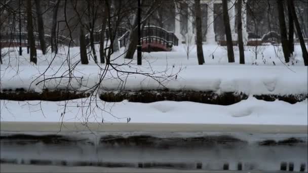 Του Ποταμού Τράπεζα Είναι Χιόνι Χειμώνα Πάρκο — Αρχείο Βίντεο