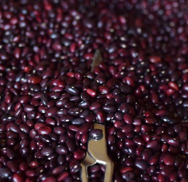 Barbunya yakın çekim