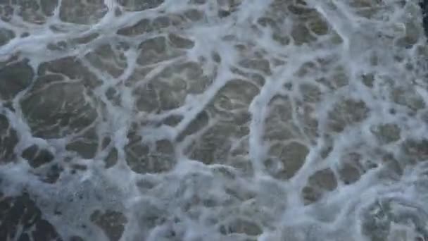 Water River Flows Foams — Stock Video