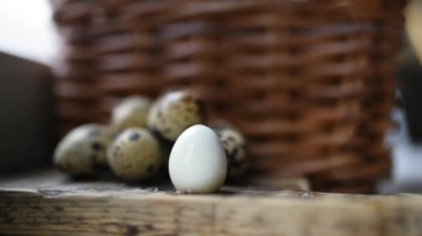 Bıldırcın yumurta masaya soyulmuş
