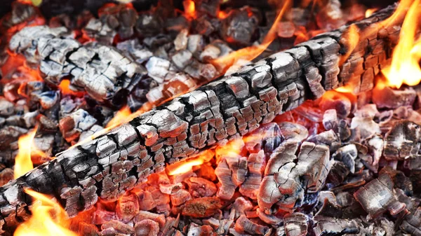 yanan sıcak kömürler, odun, parlak
