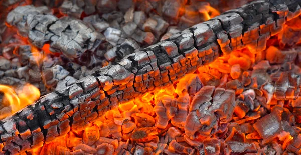 yanan sıcak kömürler, odun, parlak