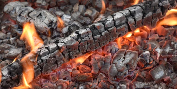 yanan sıcak kömürler, odun, parlak