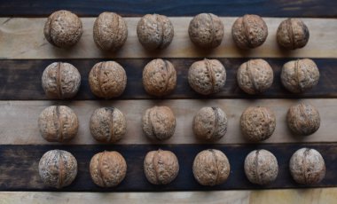 ceviz çizgili bir arka plan üzerinde düz satırlar halinde yalan