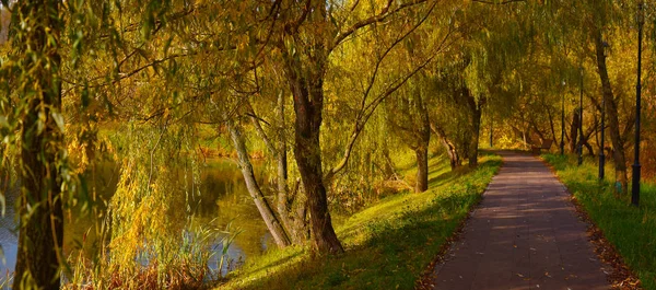 Alley Autumn City Park — Stock Photo, Image