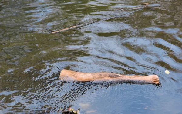 Gamba Plastica Manichino Acqua — Foto Stock