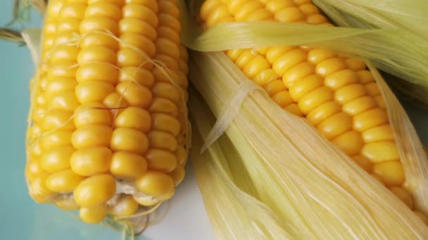 Ripe Corn Boiled Green Leaves — Stock Video