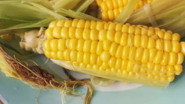 Ripe Corn Boiled Green Leaves — Stock Video